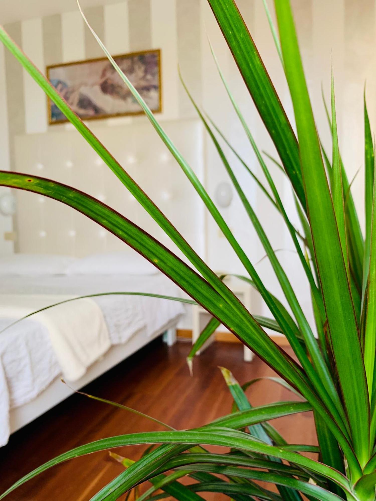 Hotel Baby B&B Milano Marittima Exteriör bild
